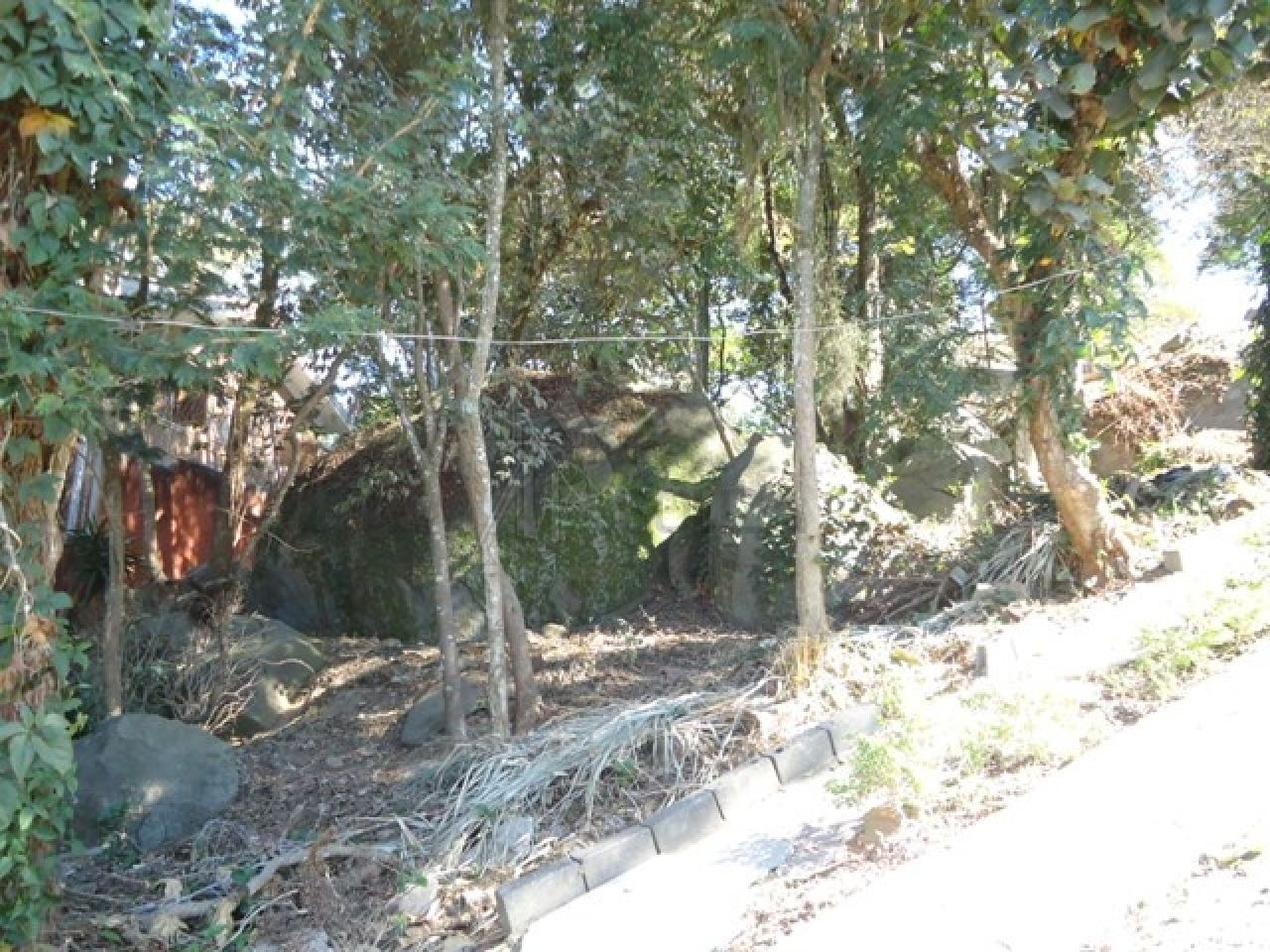 Terreno para Venda - Tucuruvi