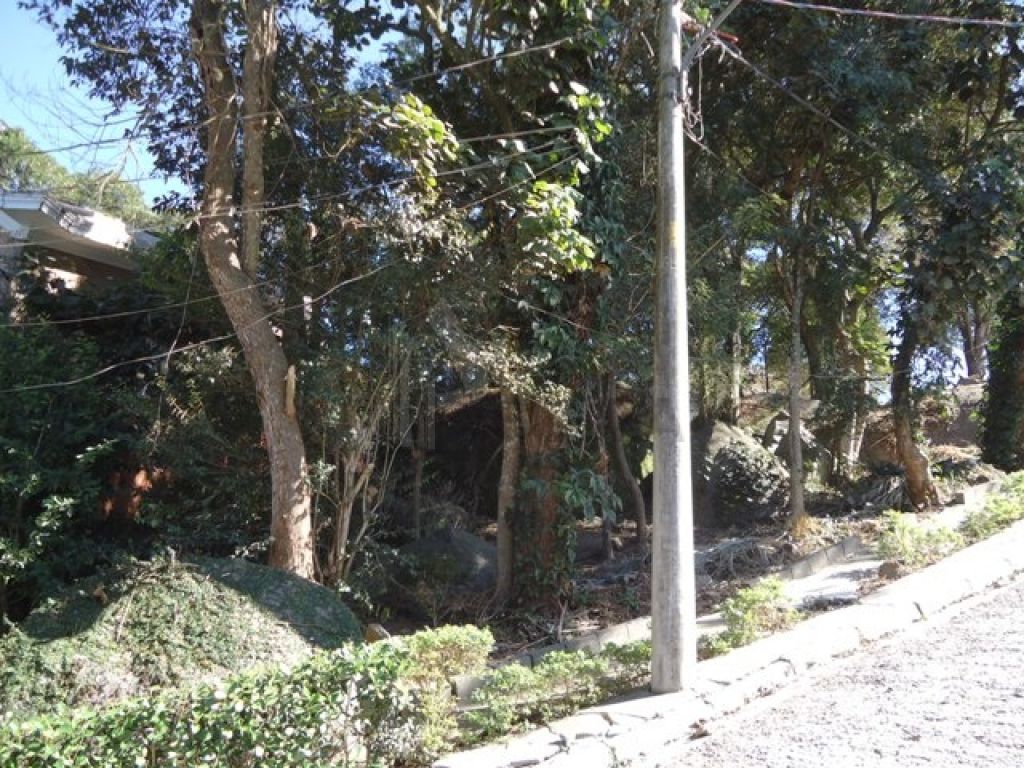 Terreno para Venda - Tucuruvi