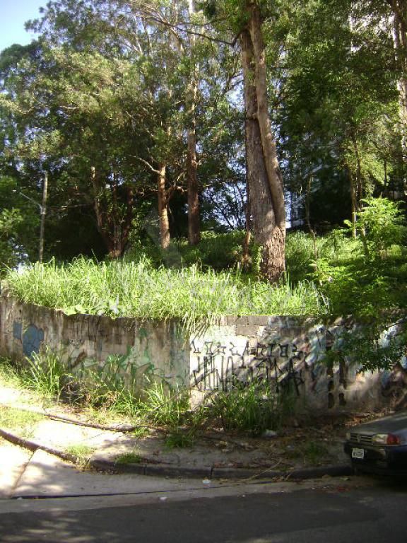 Terreno para Venda - Mandaqui