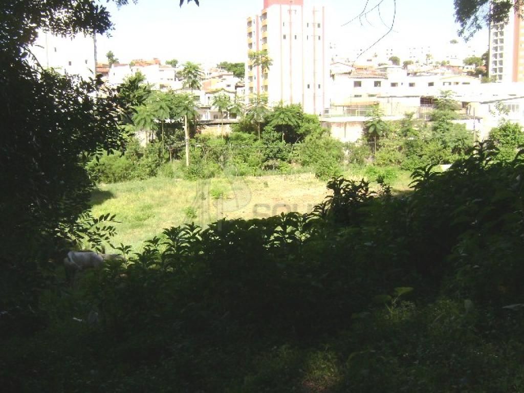 Terreno para Venda - Mandaqui