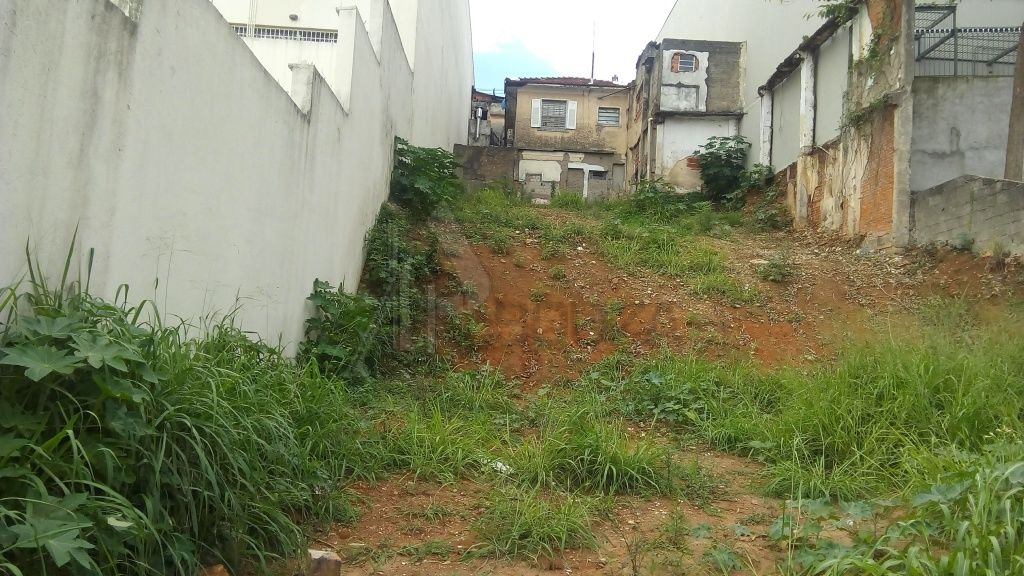 Terreno para Loca��o - Tucuruvi