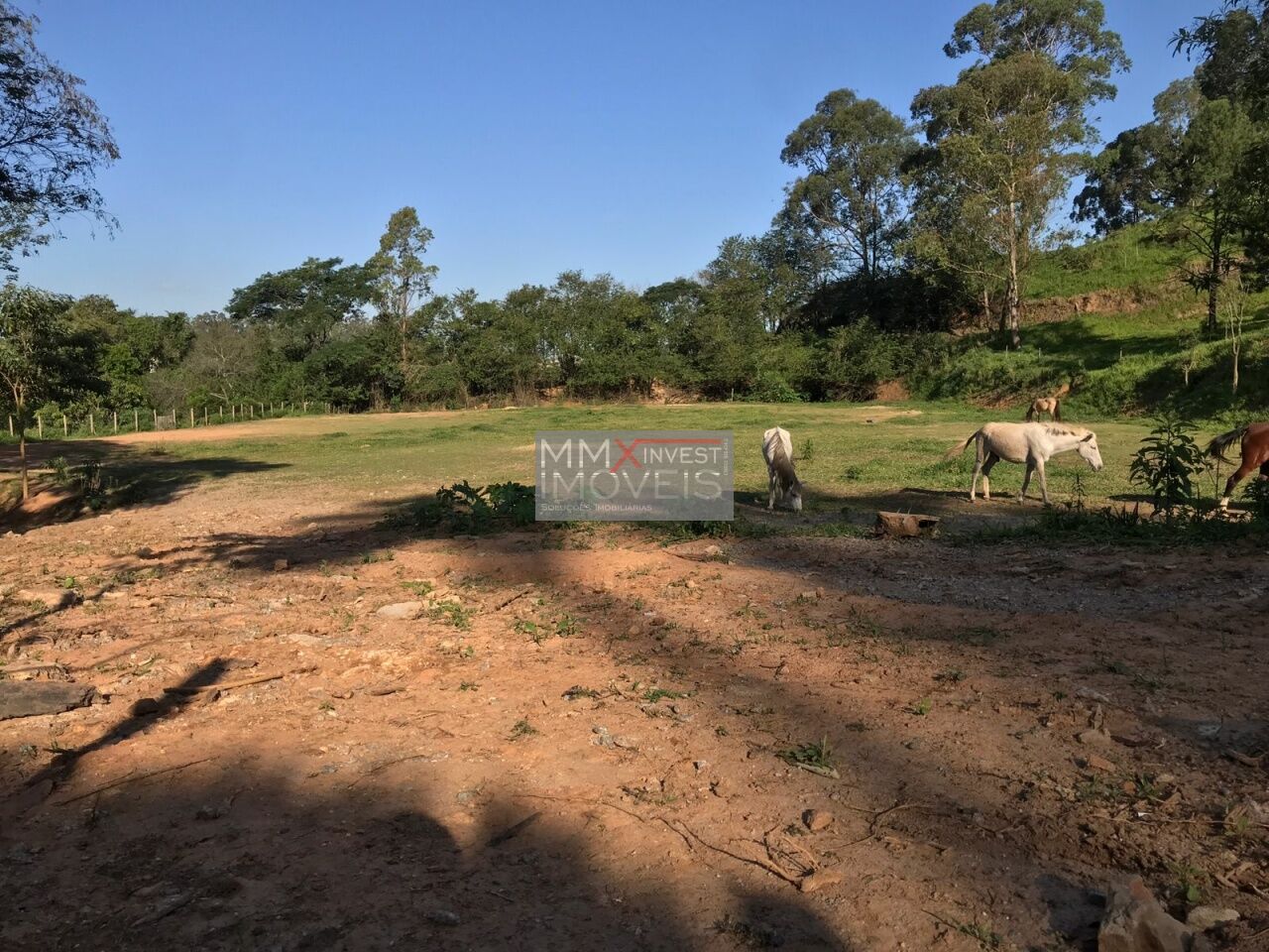Area para Venda - Vila Nova Galvão
