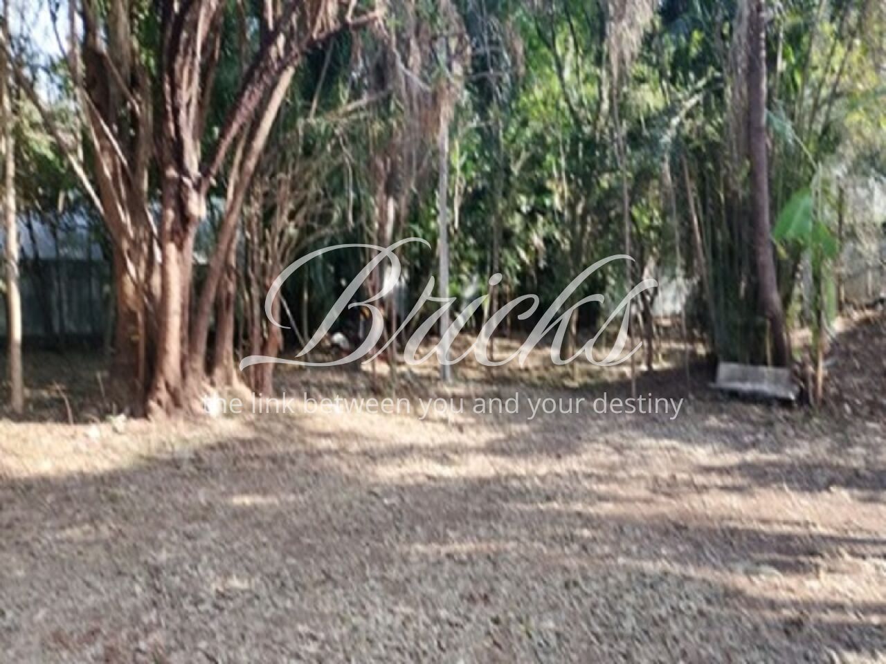Terreno para Venda - Alto da Boa Vista