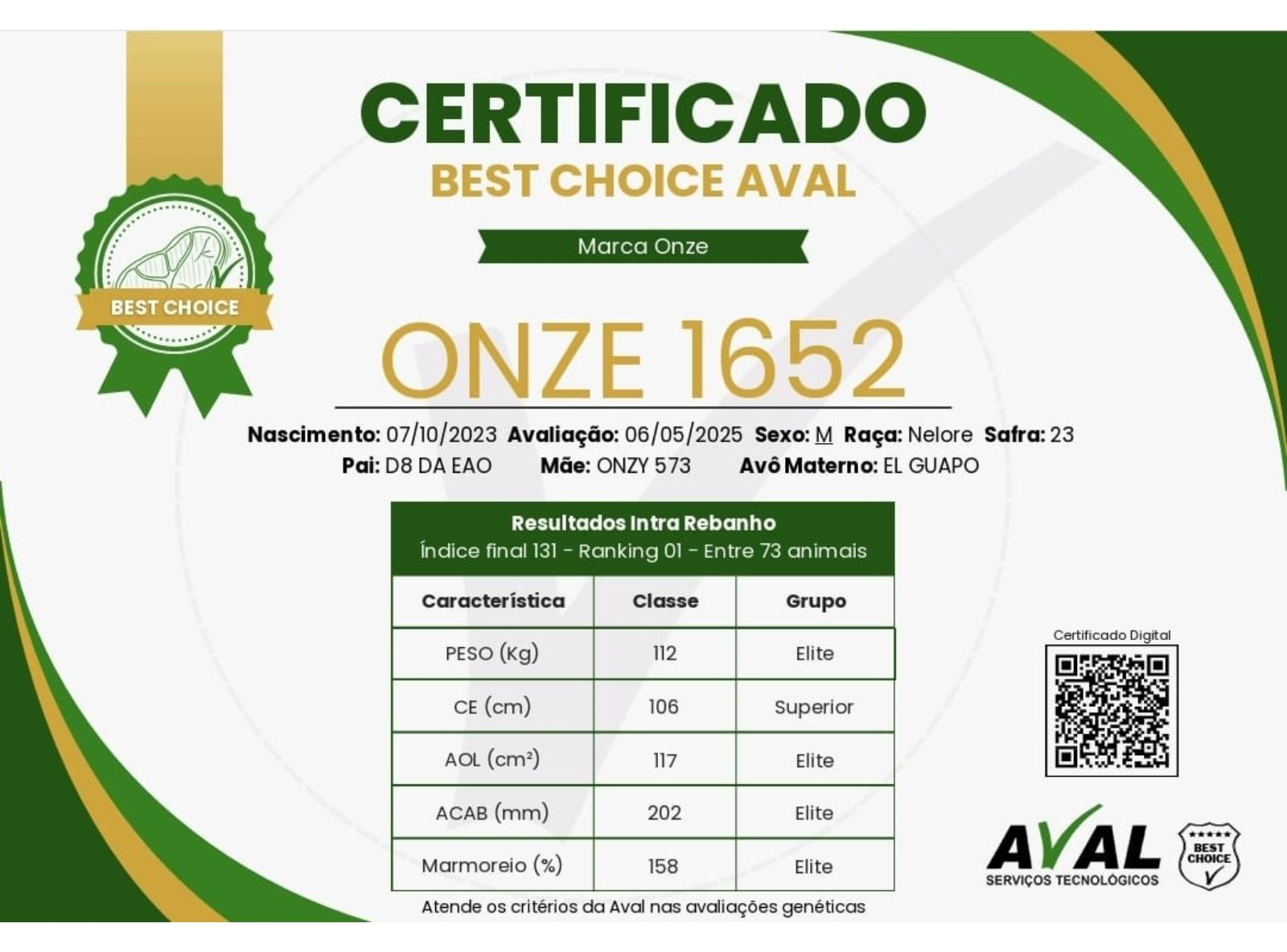 CERTIFICADO - 11 GAROTO