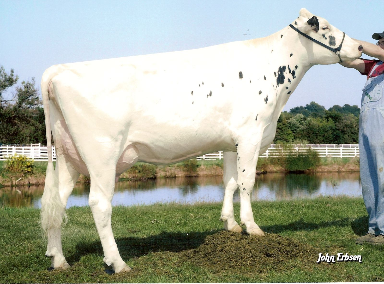 MORNINGVIEW SHTL ANGEL ET EX-91 - IRMÃ COMPLETA DO SONY
