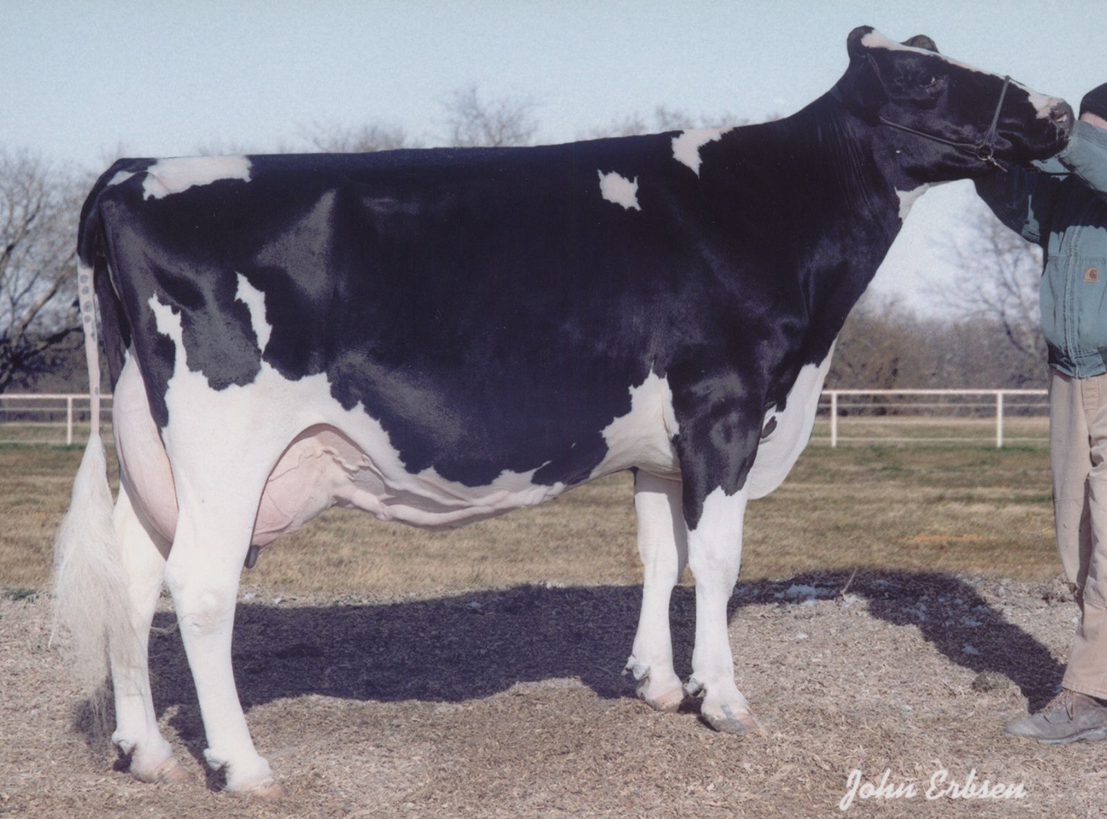 HENKESEEN RUDOLPH HEIDI (EX-90) - 4ª MÃE