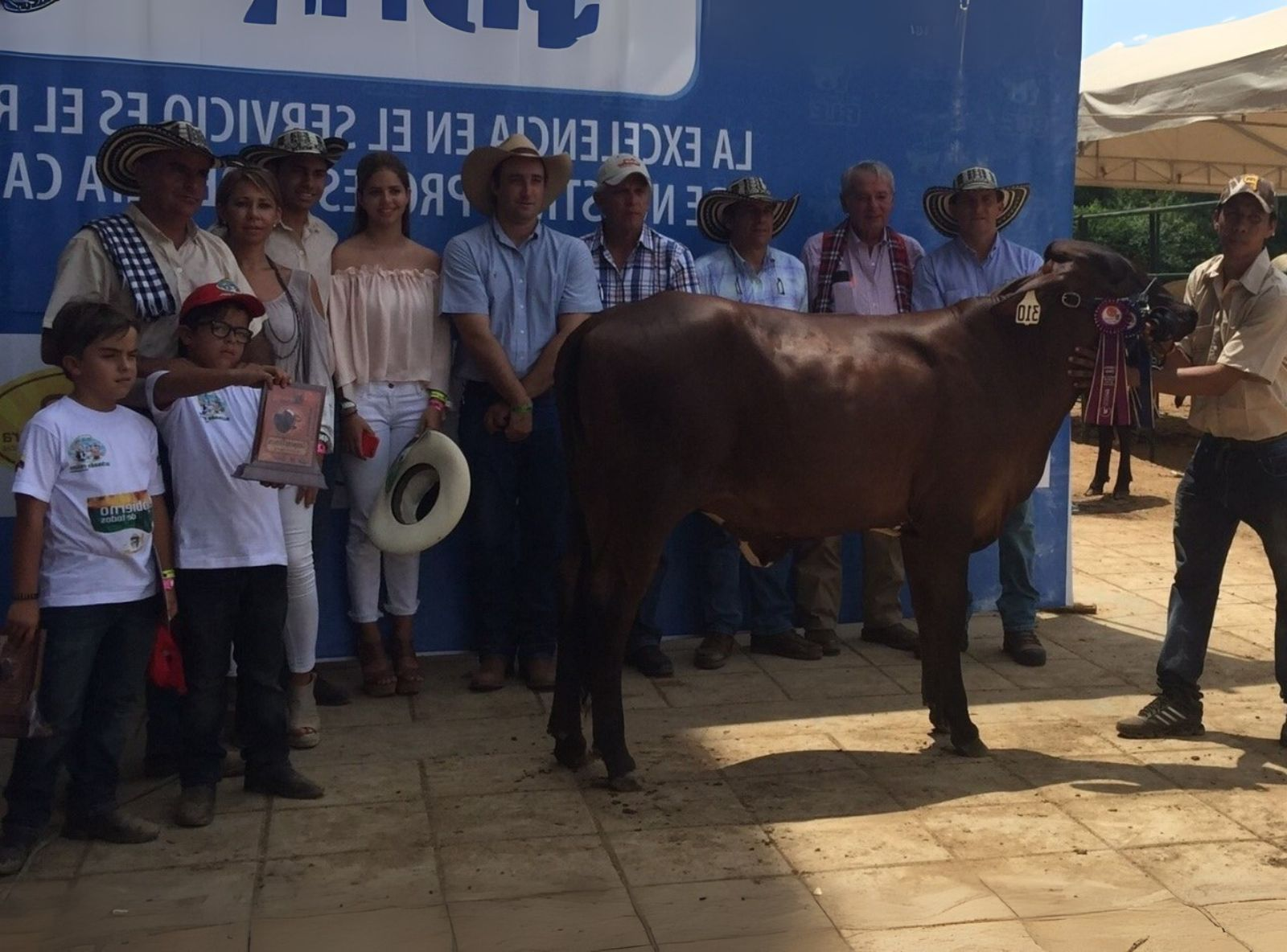 FERRUCAS CETRO SOFIA CAMPEÂ BEZERRA NA EXPOSIÇÃO NACIONAL DE GIROLANDO NA COLÔMBIA 2015 - FILHA DO CETRO