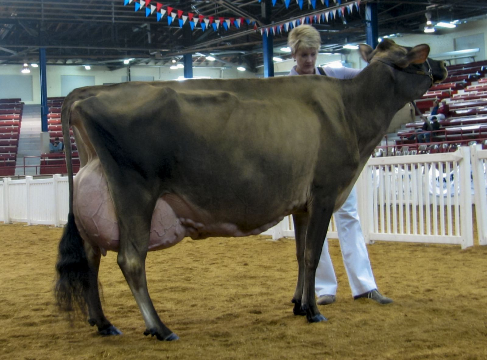 HURONIA CENTURION VERONICA EX-97 AOS 10 ANOS - AVÓ PATERNA DO FIJI