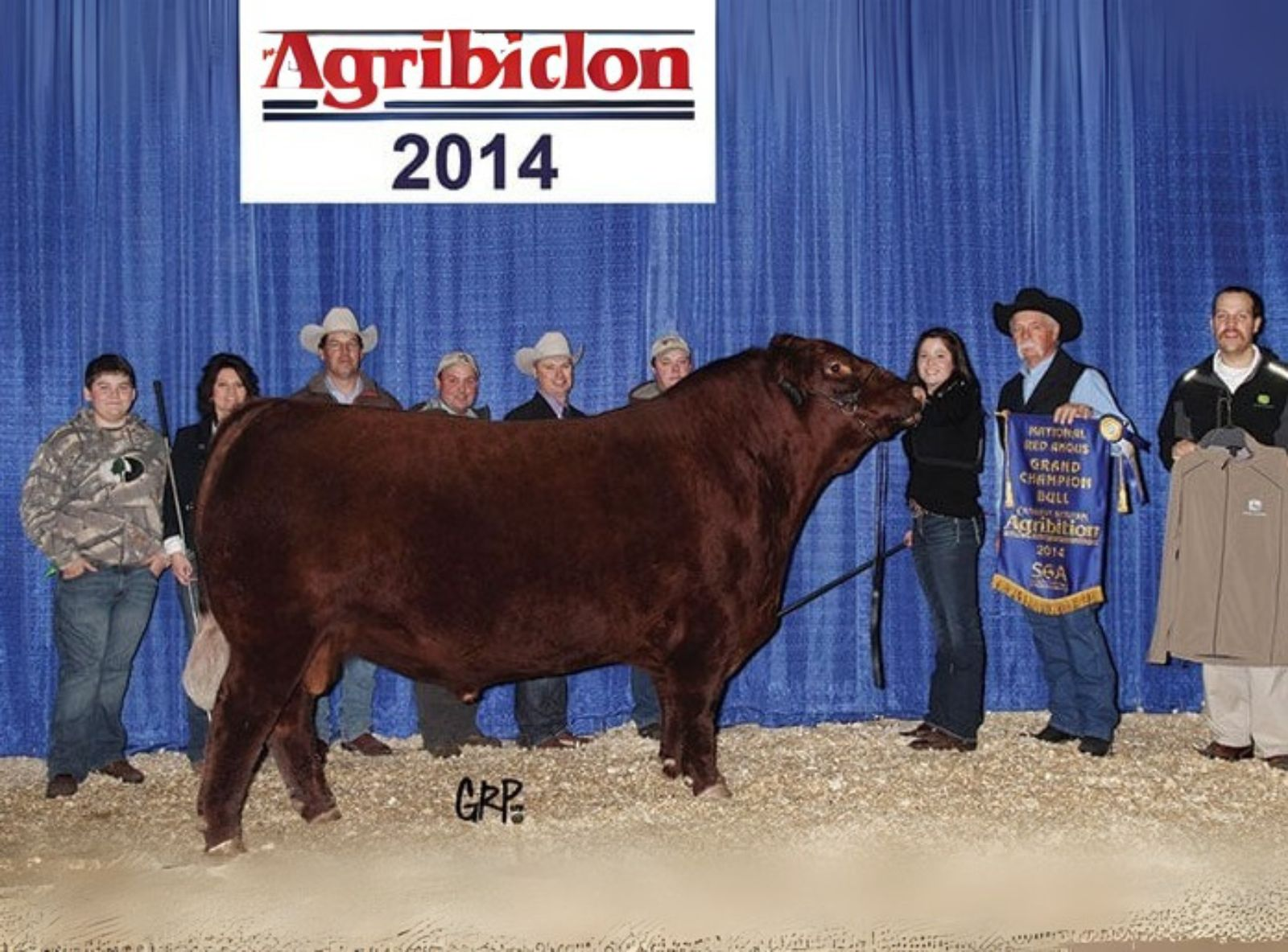 RED SIX MILE TUFF ENUFF 111Z GRAND CHAMPION CWA 2014