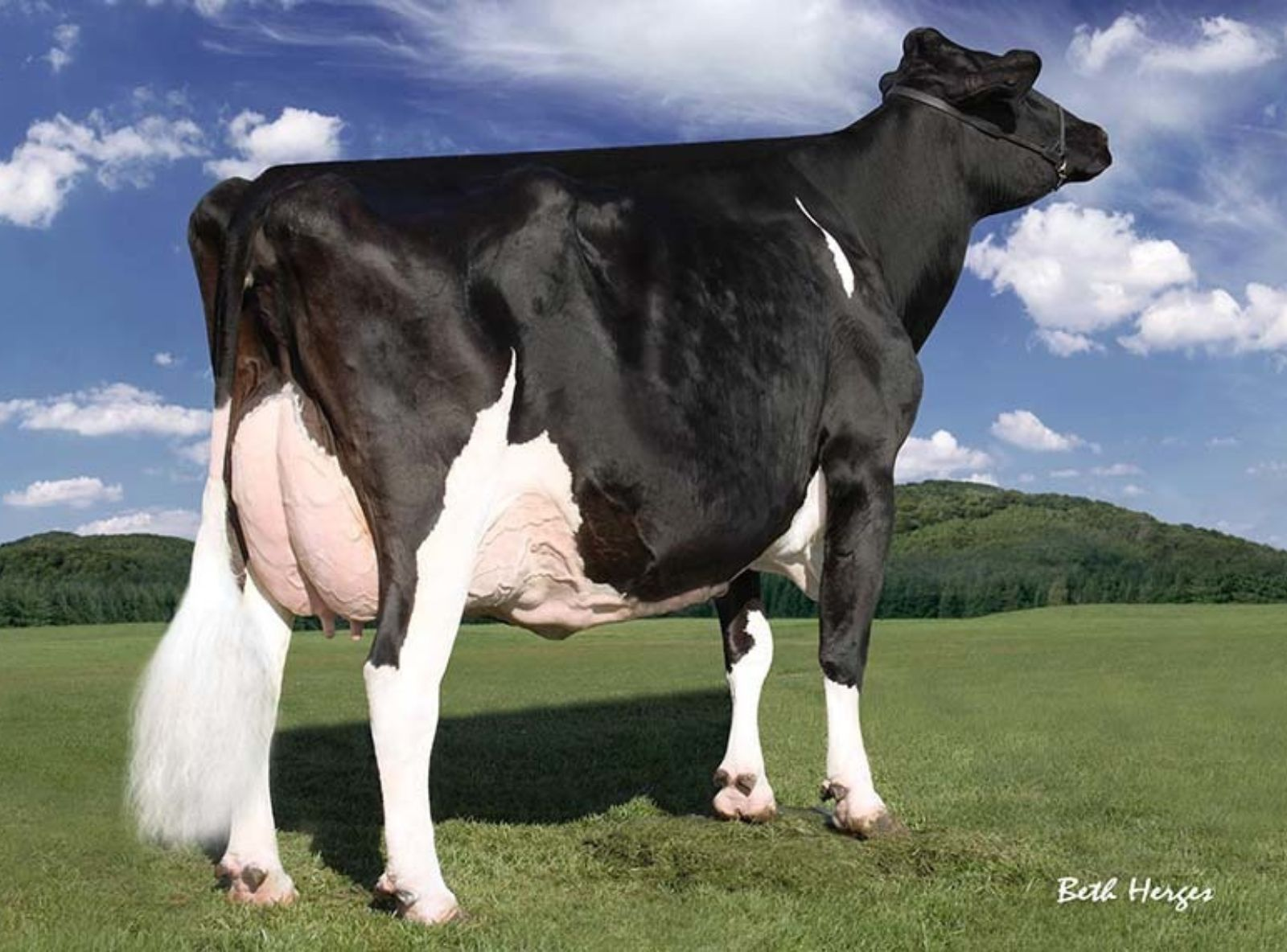 DA FAMÍLIA DE REGANCREST-PR BARBIE - EX 92.
