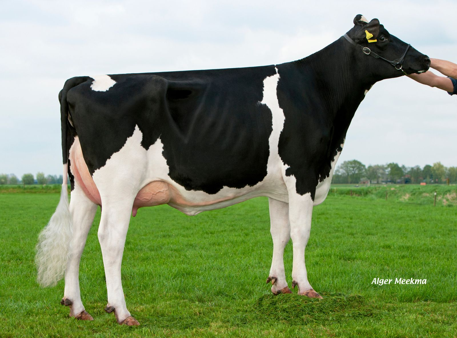 GP PARIS ET VG-87 - AVÓ DO KILO