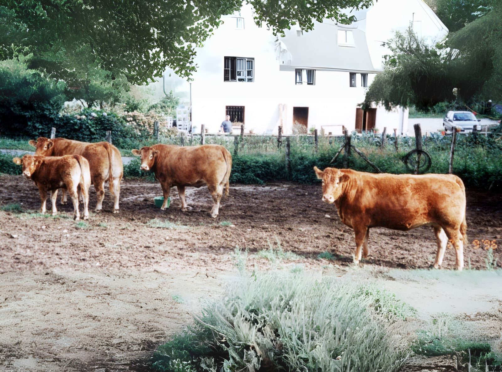 FILHAS DO GEDEON NA FRANÇA
