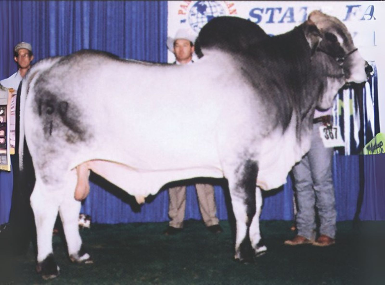 JJ TRES DIDOR 150/1
