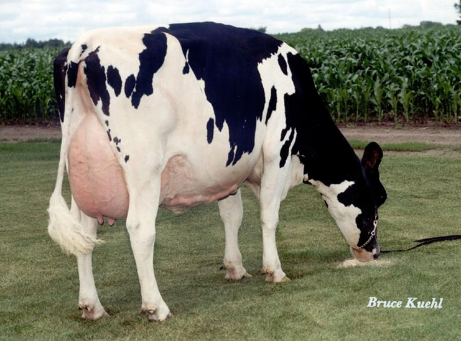 RALMA JUROR FAITH EX-91 - 3ª MÃE DO SINGAPUR