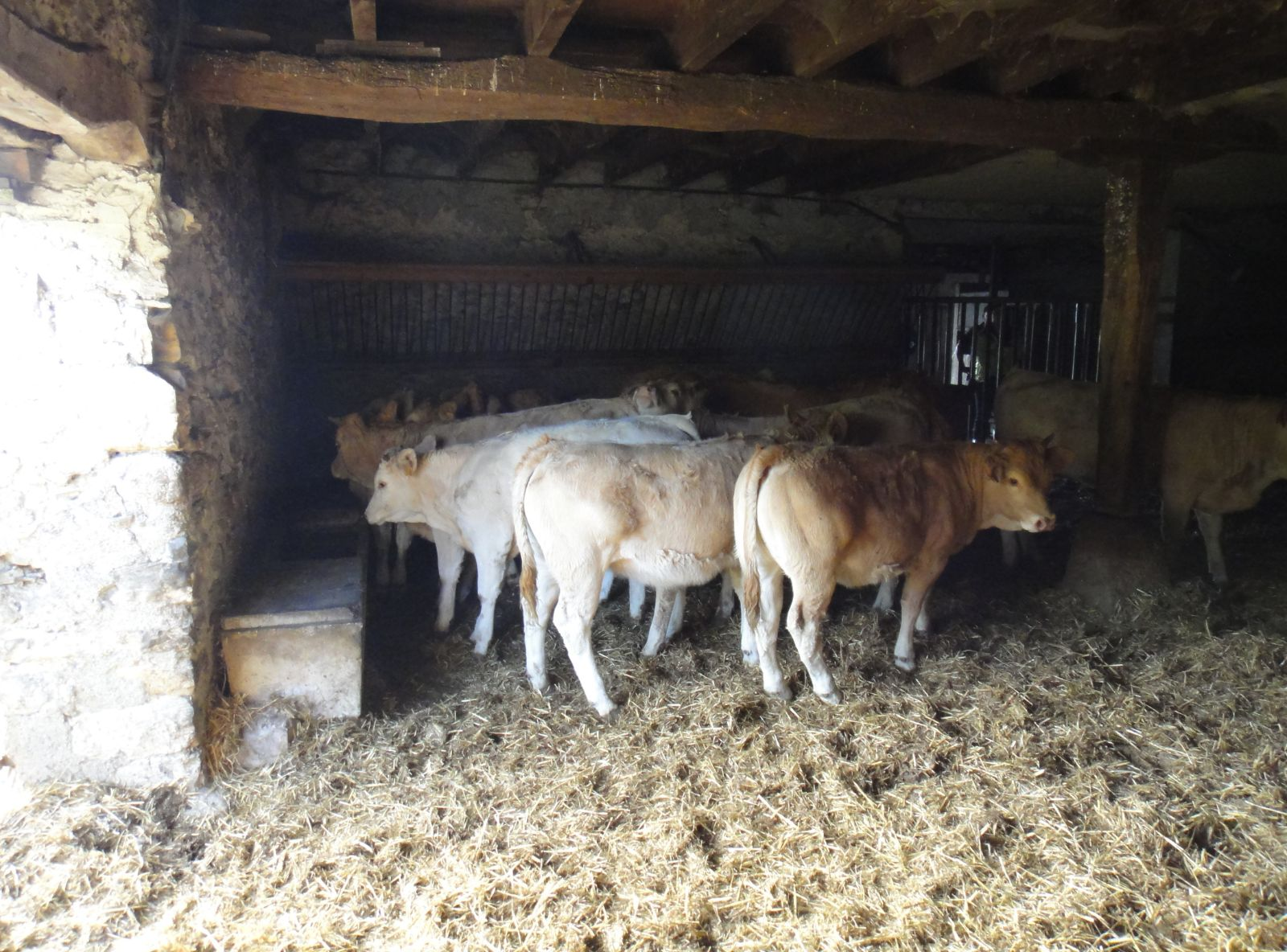 PADRÃO DE PRODUÇÃO