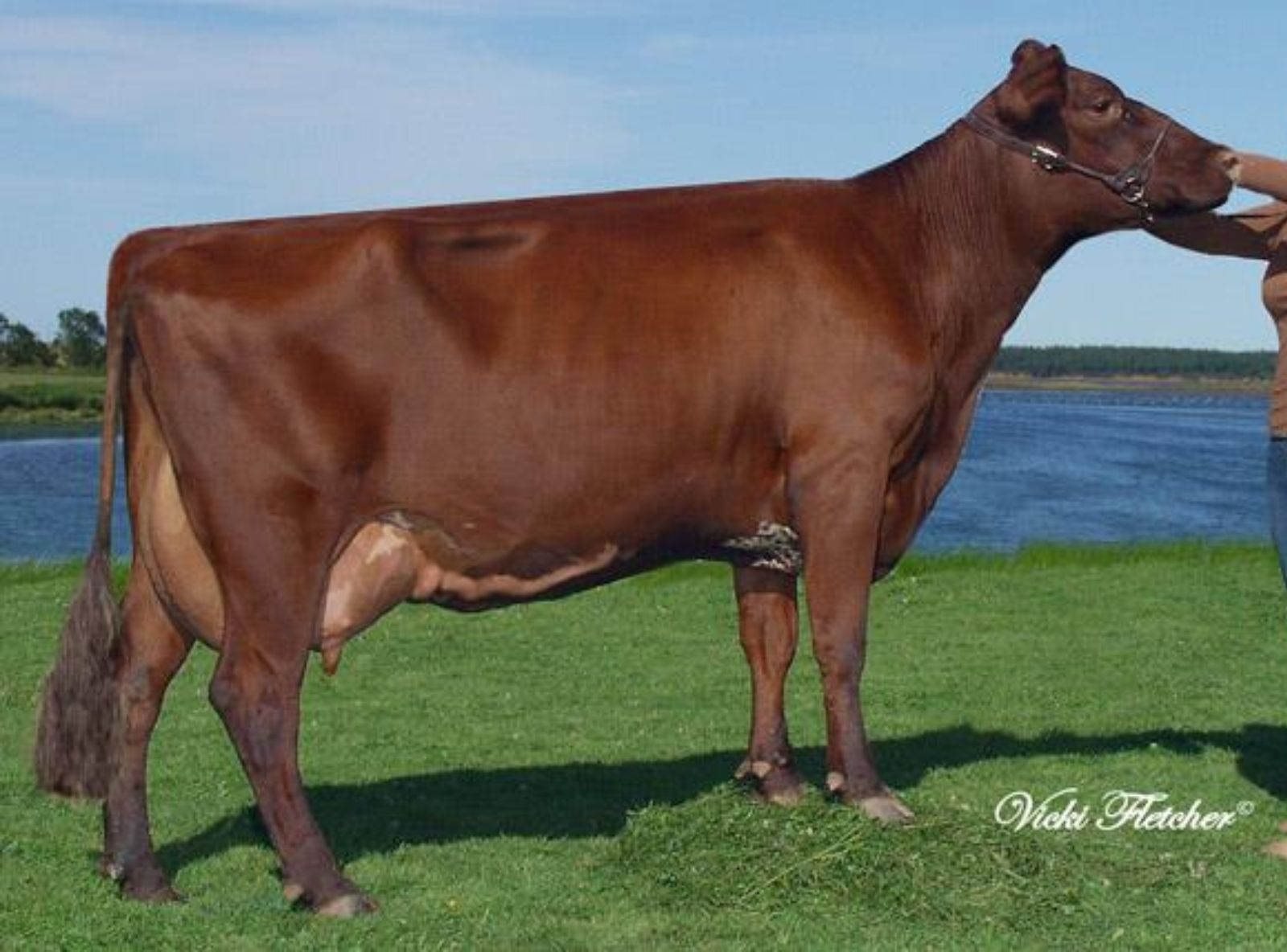 IRMÃ MATERNA DO ARAMIS