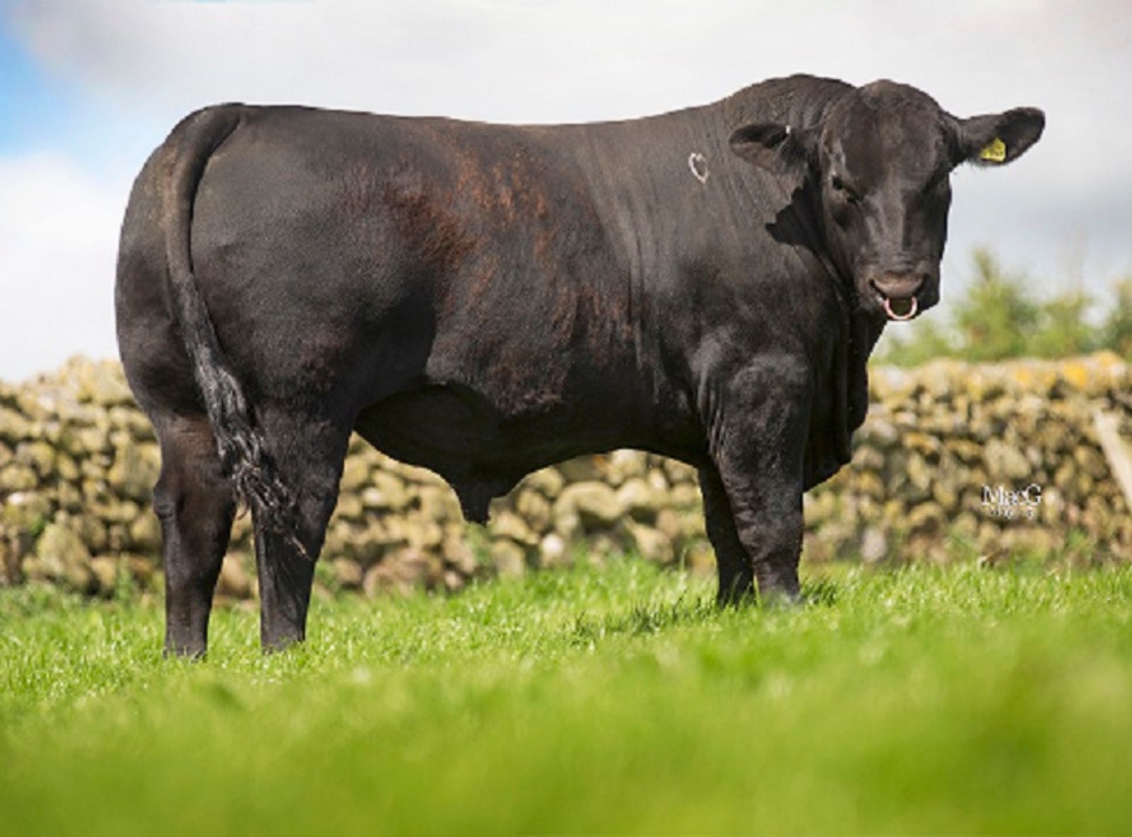 EVOLUTION COM 10 MESES