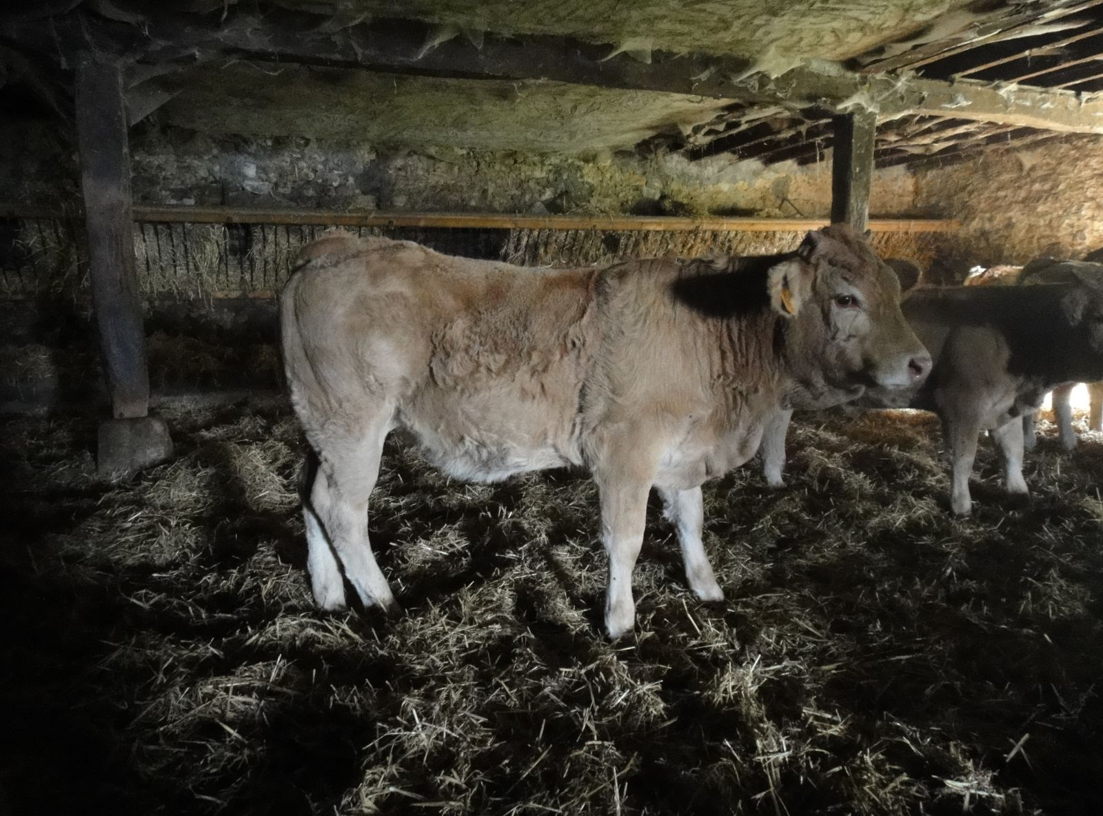 PADRÃO DE PRODUÇÃO