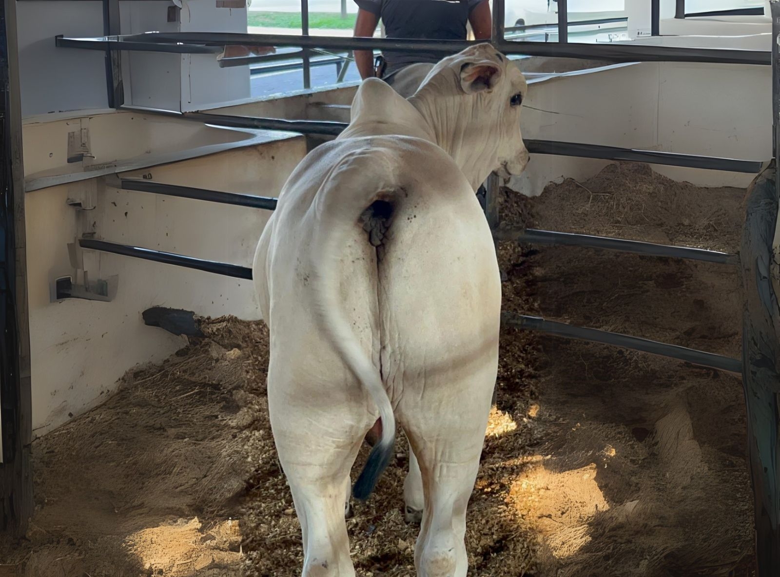 PROGÊNIE GRAN RESERVA