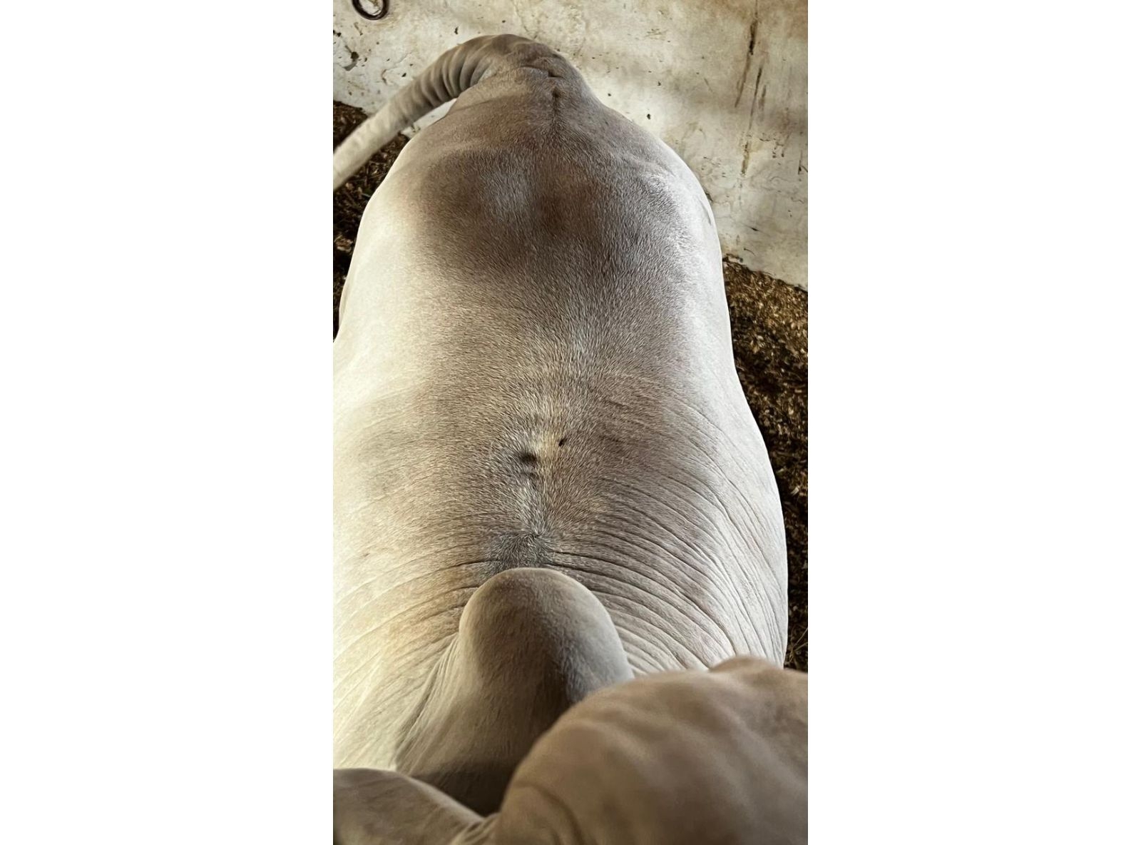 PROGÊNIE GRAN RESERVA