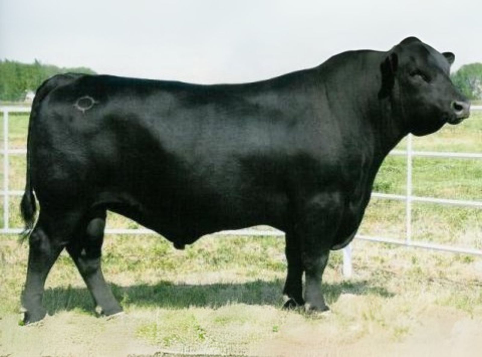 MYTTY IN FOCUS AVÔ DO IN FOCUS