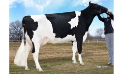 Morningview Super Roxy EX-90_Tataravó de Wifi.jpg