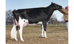 Morningview-Pronto-C-Rae EX-90_Da Família de Wifi.jpg