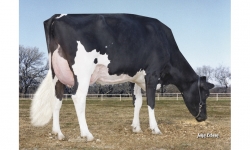 Morningview-Pronto-C-Rae EX-90_Da Família de Wifi1.jpg