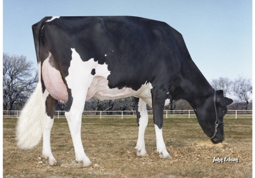 Morningview-Pronto-C-Rae EX-90_Da Família de Wifi1.jpg