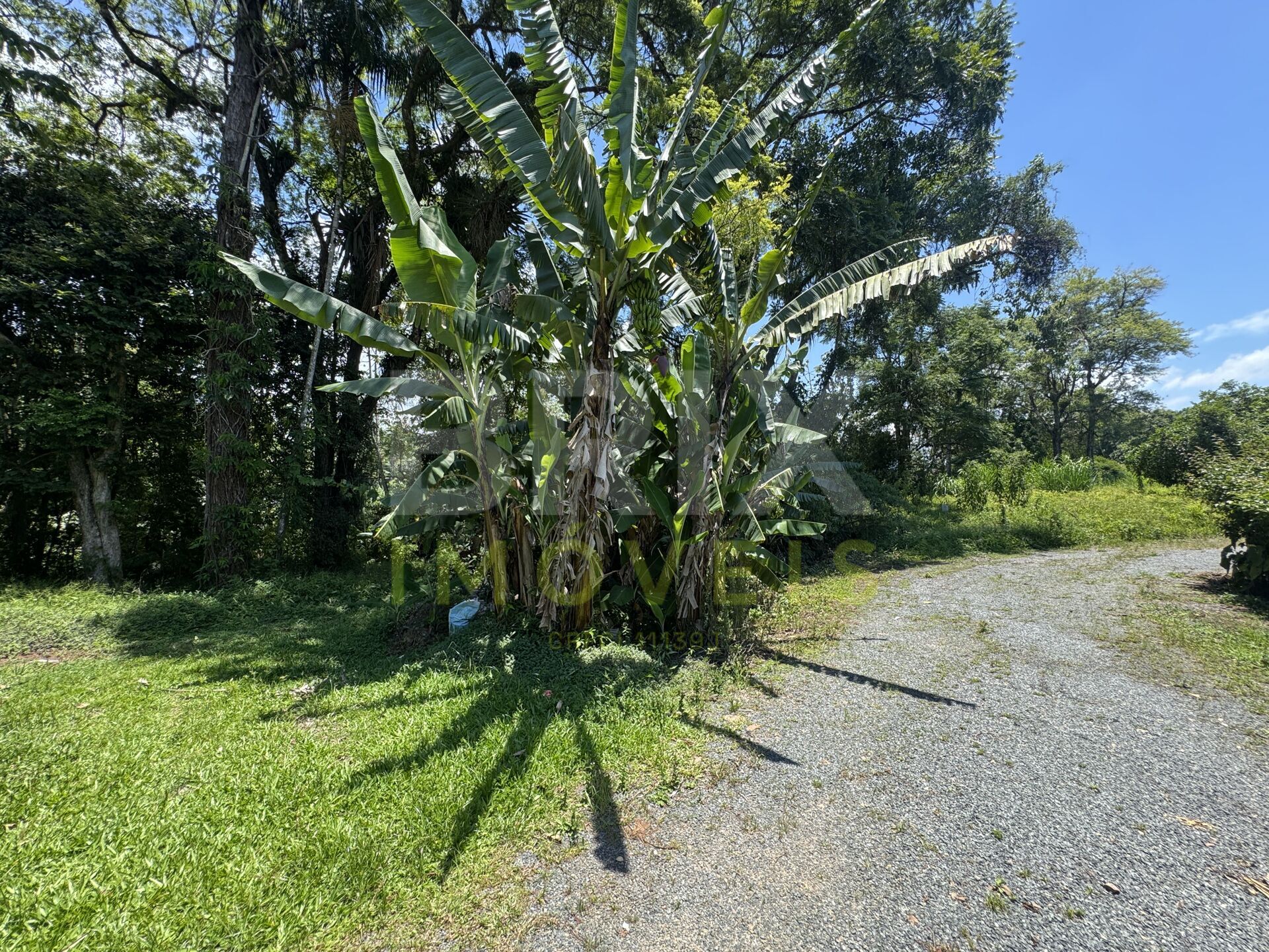 Terreno em Pomerode 6.281m2 / Oportunidade. — foto 5