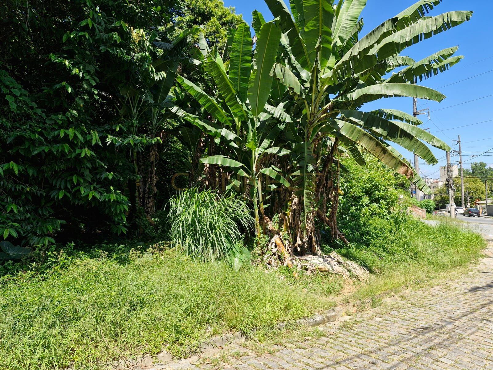 Terreno em Velha, Blumenau/SC — foto 5