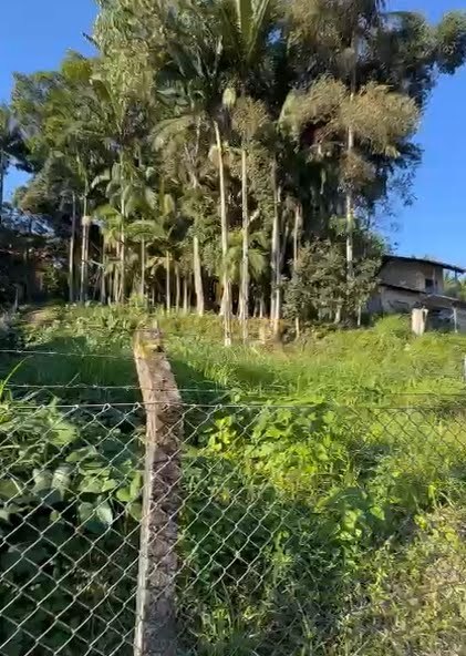 Terreno para alugar no bairro Itoupava Seca em Blumenau/SC — foto 5