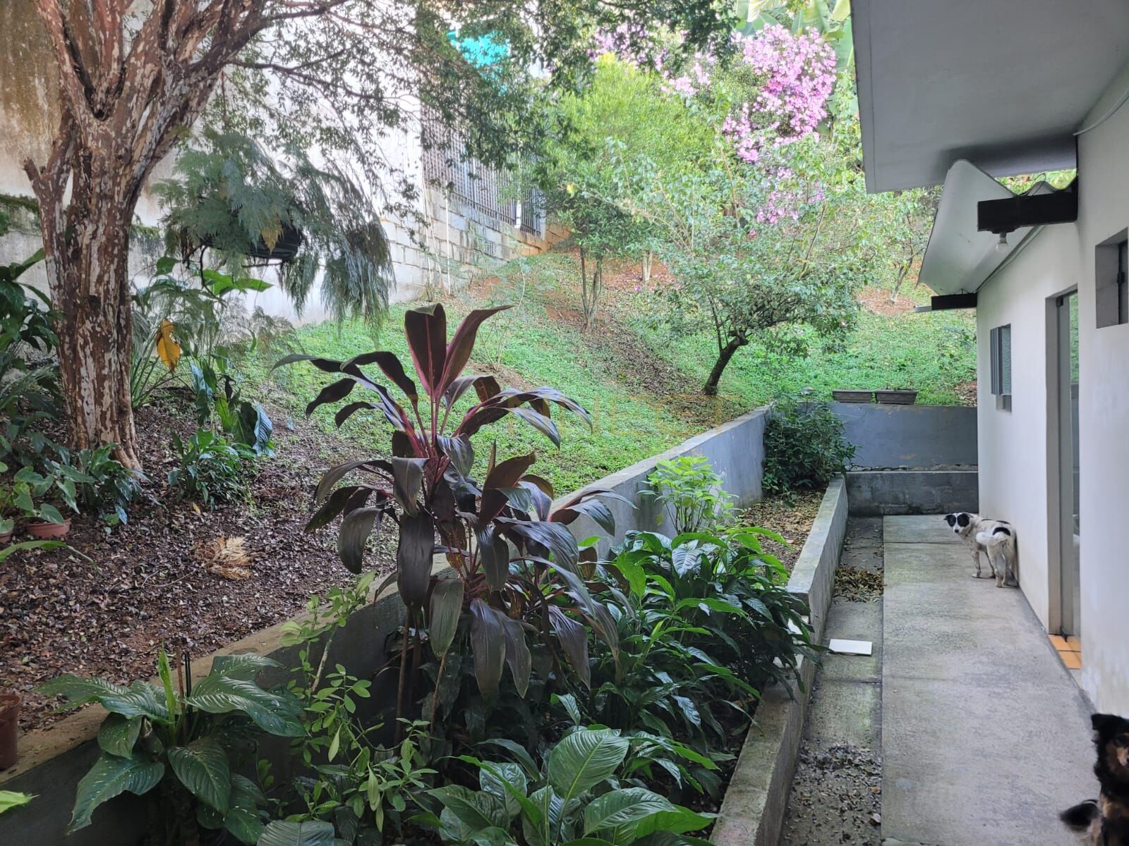 Casa Sobreloja em Itoupava Norte, Blumenau/SC — foto 5