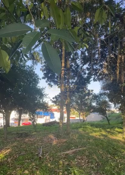 Área para alugar no bairro Fortaleza em Blumenau/SC — foto 3