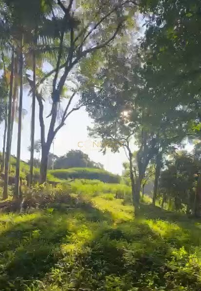 Área para alugar no bairro Fortaleza em Blumenau/SC — foto 5