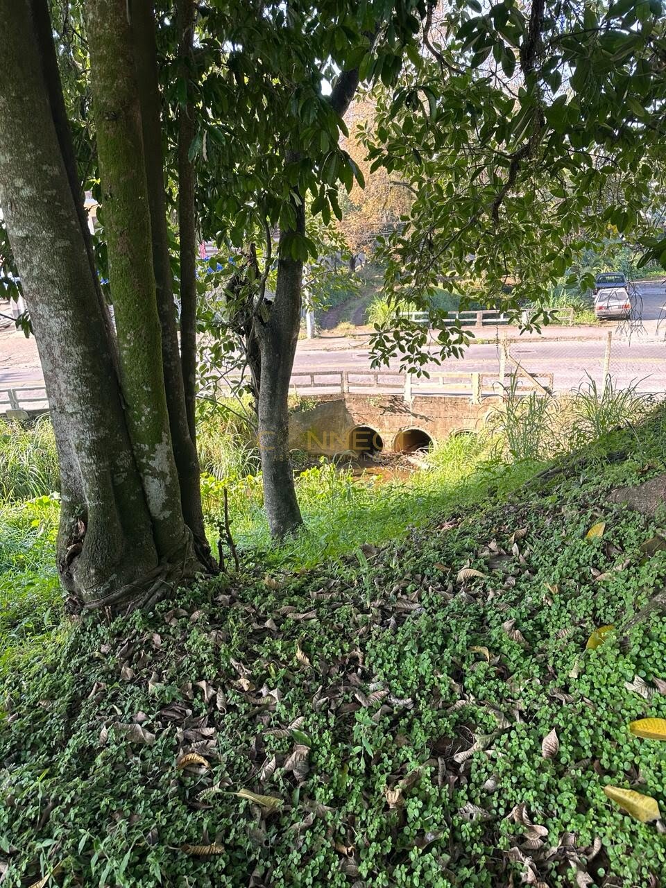 Área para alugar no bairro Fortaleza em Blumenau/SC — foto 7