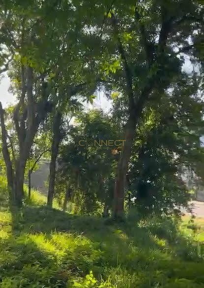 Área para alugar no bairro Fortaleza em Blumenau/SC — foto 2