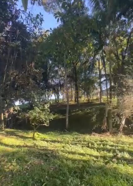 Área para alugar no bairro Fortaleza em Blumenau/SC — foto 6