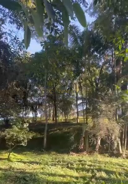 Área para alugar no bairro Fortaleza em Blumenau/SC — foto 4