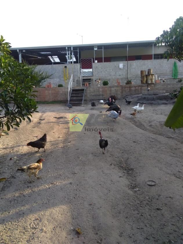 Chácara, 2 quartos, 1000 m² - Foto 3