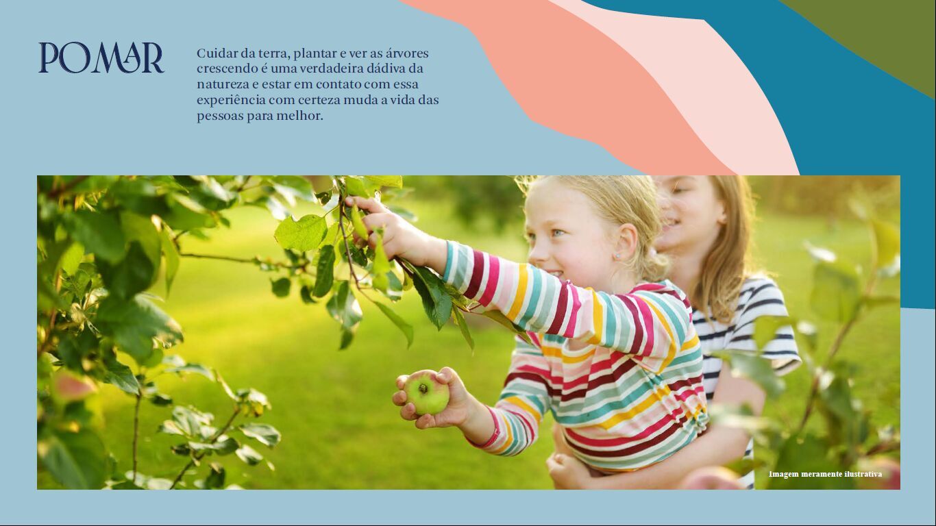 Terreno, 200 m² - Foto 34