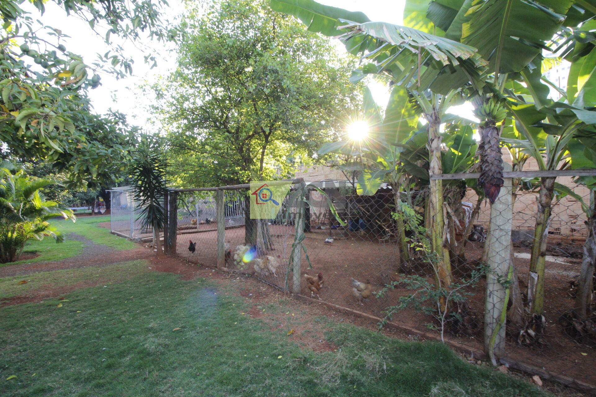 Chácara, 2 quartos, 2405 m² - Foto 23