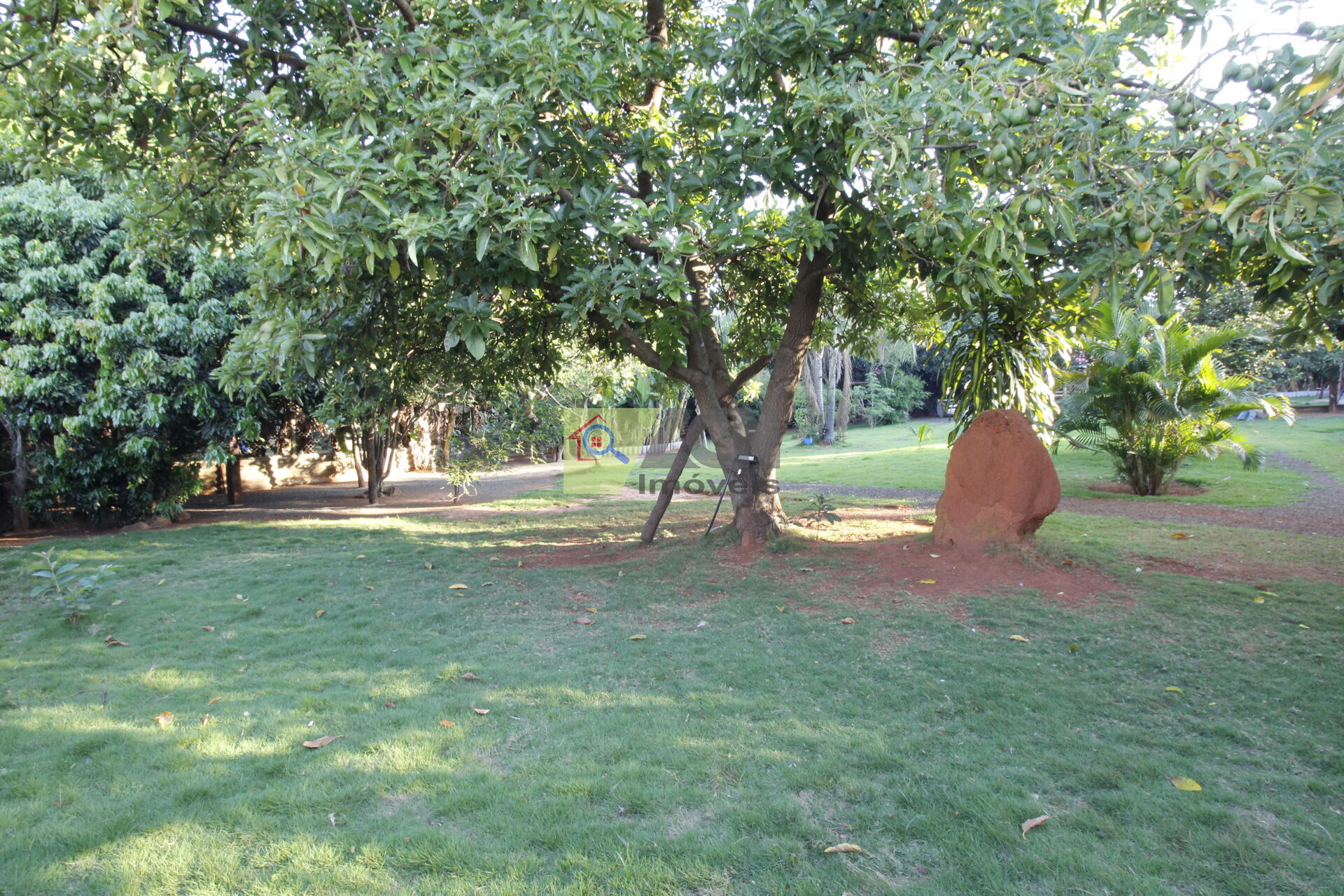 Chácara, 2 quartos, 2405 m² - Foto 24