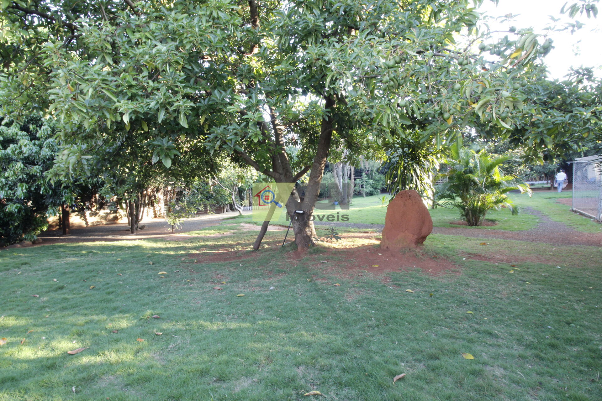 Chácara, 2 quartos, 2405 m² - Foto 25