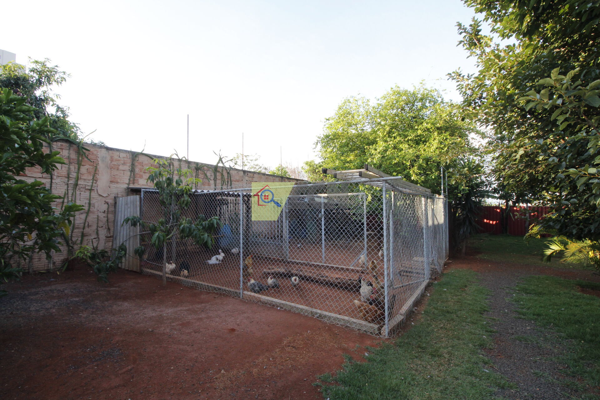 Chácara, 2 quartos, 2405 m² - Foto 22