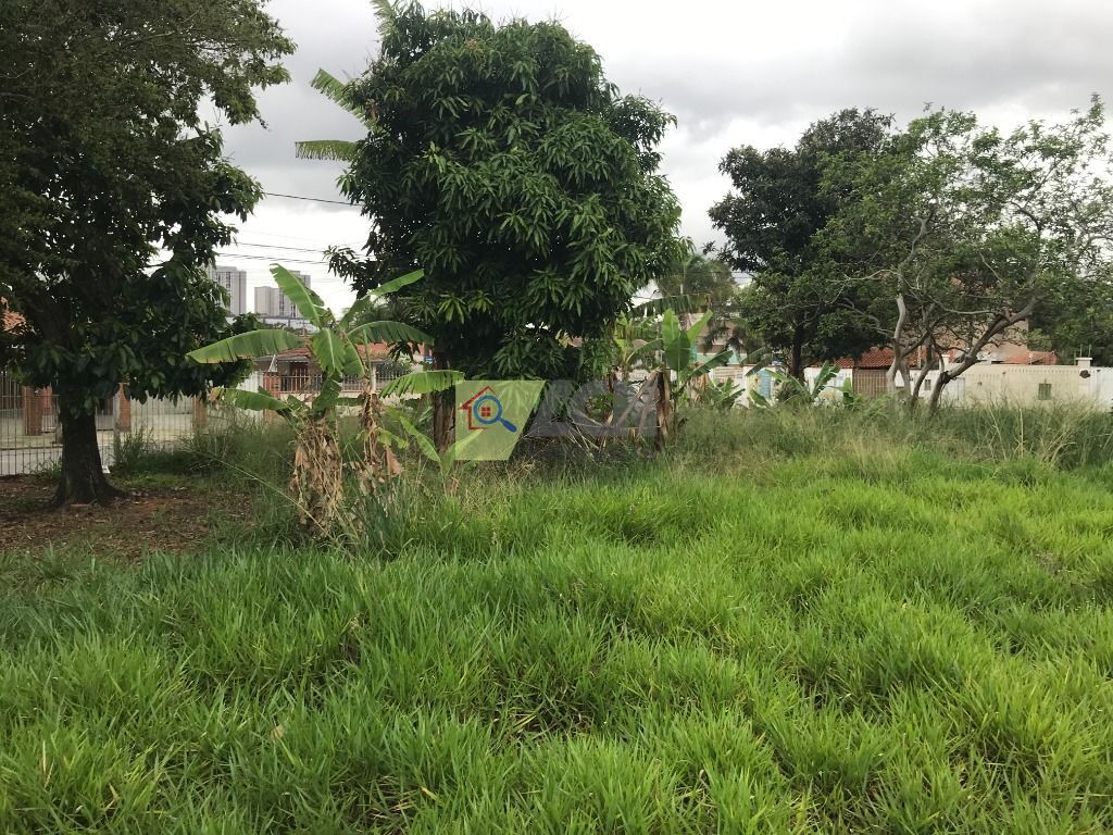 Terreno, 965 m² - Foto 4