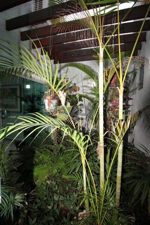 Casa, 4 quartos, 261 m² - Foto 11