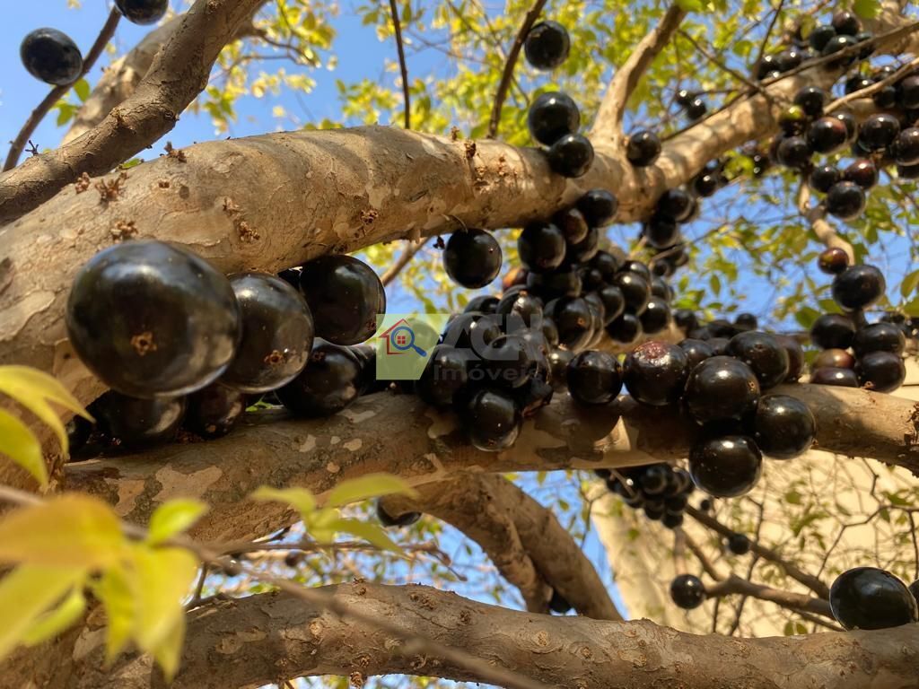 Chácara, 3 quartos, 3800 m² - Foto 11