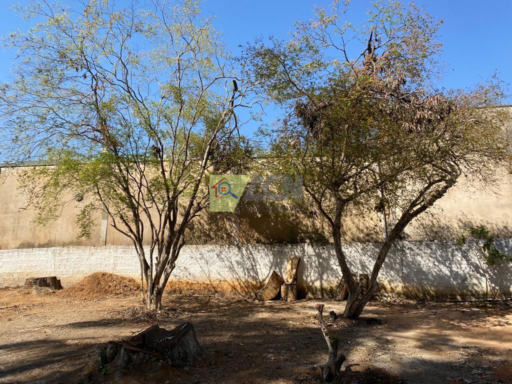 Chácara, 3 quartos, 3800 m² - Foto 6