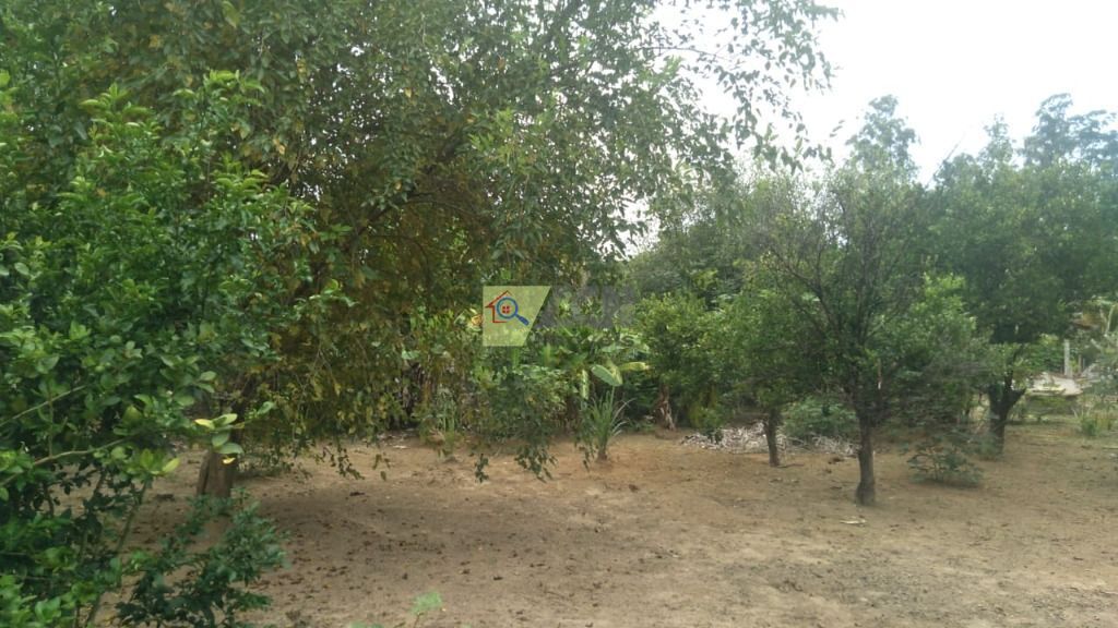 Chácara, 3 quartos, 2085 m² - Foto 13